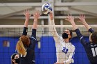 Volleyball vs RWU  Wheaton Women’s Volleyball vs Roger Williams University. : Volleyball, VB